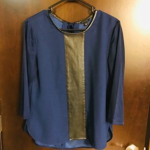 Leather Stripe and Blue Blouse (Ann Taylor)